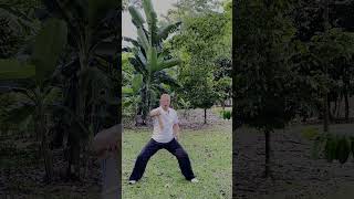 Short Stick Chin Na Basics | Horse &amp; Bow Stance Throwing and Control马步弓步短棍擒拿基本功｜抛抓拧旋训练与步型配合解析