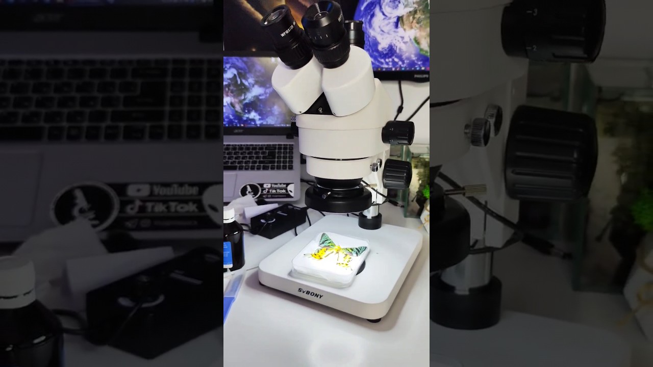 МИКРОСКОП С АЛИЭКСПРЕСС - YouTube