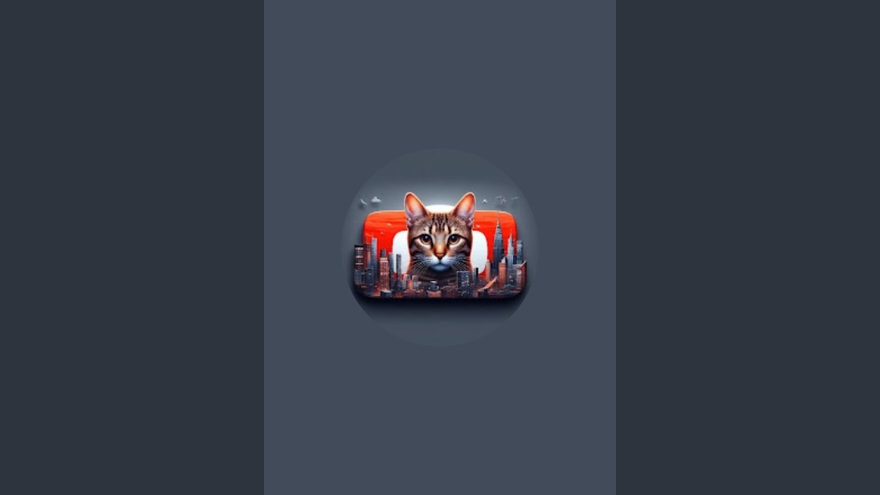 Cats In The City is live