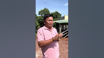 Cập nhật tiến độ thi công biệt thự tân cổ điển mai Thái ở tại Đồng Nai #nhadep #xaynhatho