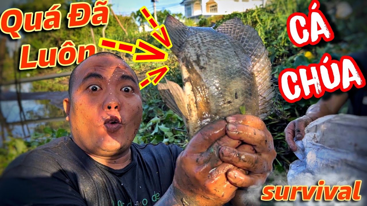 1 Ngày Lang Thang Săn Bắt Khó Khăn Chỉ Với Một Nắm Cơm Cùng THÁNH XÀM