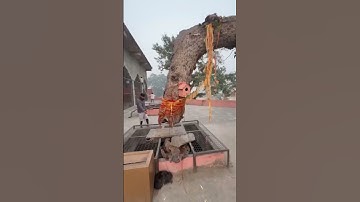 Mahadev #shiv #shivshakti #shivshankar #mahadev #mahashivratrivrat #shambhu #bholenath #shivji