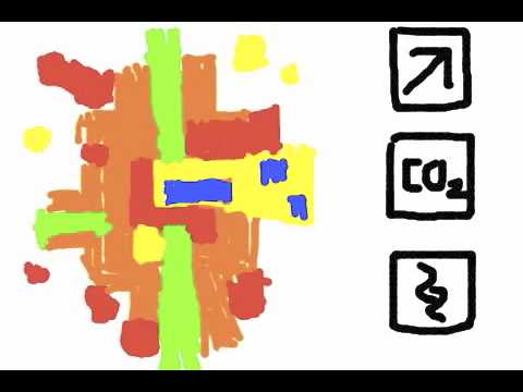Die Lateinamerikanische Stadt Stadtentwicklung Im Kulturraum Stadtgeographie Youtube