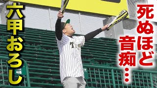 甲子園を撮影し放題…ついにトクサンTVが時代を変えた！