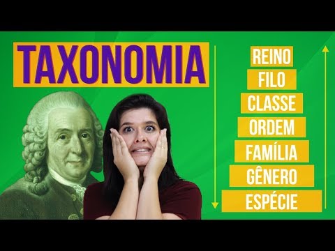 Vídeo: Por que a classificação foi inventada?