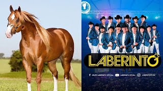 laberinto CORRIDOS DE CABALLOS 2020 DJ Korita