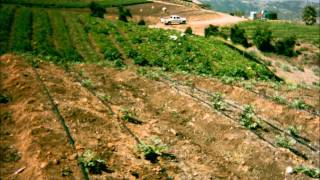 Tmrm Farm Vegi Cam June 4 Work Day