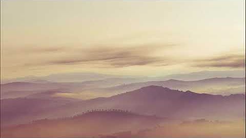 تلاوة هادئة كلها عذوبة ترق لها القلوب