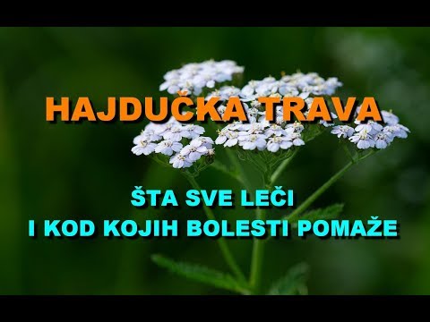 Video: Da li je svinjski gnoj dobar za travu?