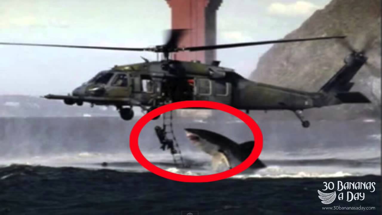 Megalodon Shark Attack Caught On Camera Off Coast of Cambodia - real or