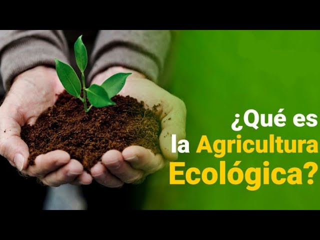 ¿Que es la agricultura ecológica?