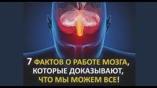 7 фактов о работе мозга, которые доказывают, что мы можем все!