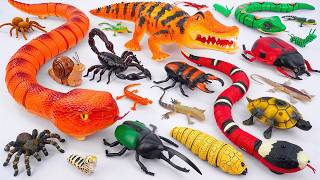 ZURU ROBO ALIVE COLLECTION | UNBOXING Robo Huge Crocodile, New RC Anaconda Snake creeper Compilation