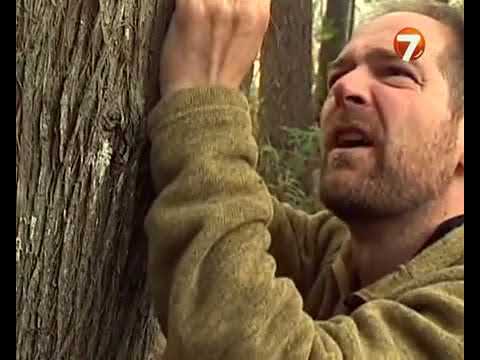 Наука выживать (Survivorman) - 1 сезон 1 серия - Северные леса Канады