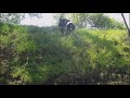 Круче чем ЛАЙВСКОП - рыбалка с Рыбопоисковым пёсиком