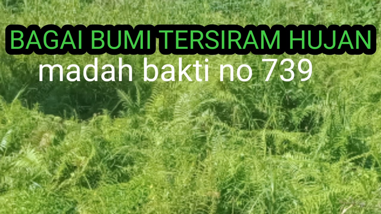 MB 739/bagai bumi tersiram hujan/instrumen lagu rohani/ (cover)