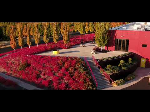 Long Shadows Winery Tour