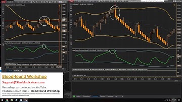 BloodHound - Working with a MTF Renko System to Synchronize Reversal Bars