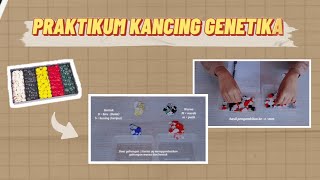 Praktikum Kancing Genetika I Persilangan Monohibrid dan Dihibrid (Pewarisan Sifat)