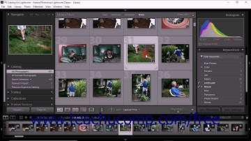 Lightroom Classic CC Tutorial Using Keywords Adobe Training