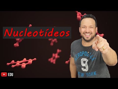 Vídeo: O que é diferente em cada nucleotídeo?
