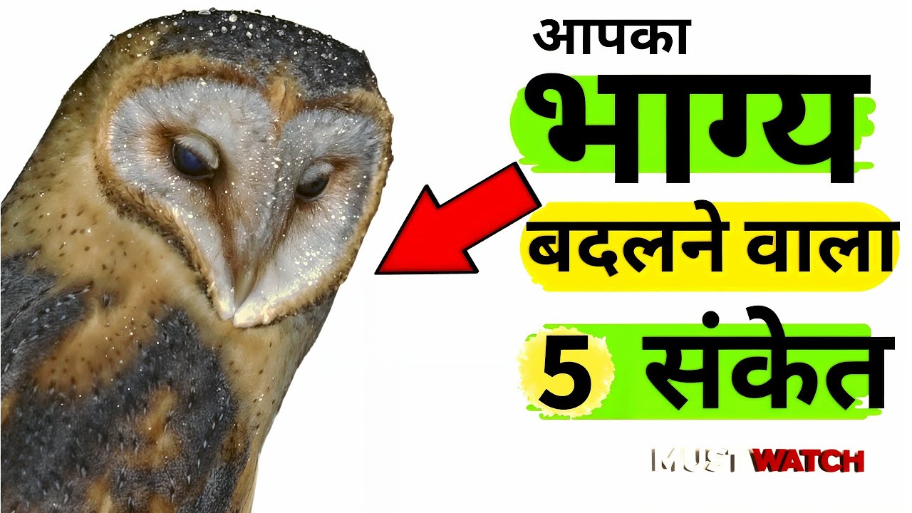 आपकी किस्मत बदलने से पहले प्रकृति आपको देती है ये 5 संकेत #किस्मतबदलाव  #divinesigns #shubhsanket