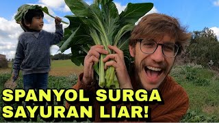 PANEN SAYUR LIAR DI LUAR NEGERI. BULE COBA SAYUR GULE!