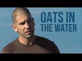 Shane walsh tribute twd oats in the water