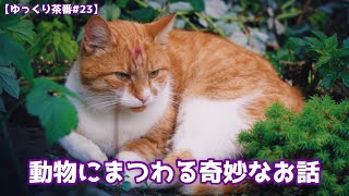 【ゆっくり茶番#23】動物の命の大切さを考えさせられる体験