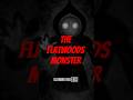 The Flatwoods Monster #flatwoodsmonster #cryptids #folklore #aliens #terrifyingtales #spookystories