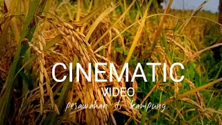 Story wa ~ Cinematic video Pesawahan di kampung