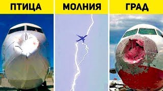 Пилоты отвечают на вопросы, которые вы стеснялись задать