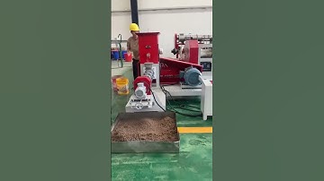 How to use fish feed pellet making machine #fishfarming #fishfeedmachine
