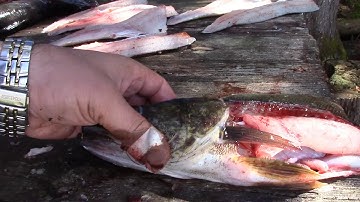 How To Remove Walleye Cheeks