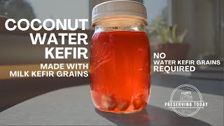 Make Coconut Water Kefir with Milk Kefir Grains
