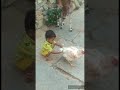 Kids loves animals/adorable babies playing with animals