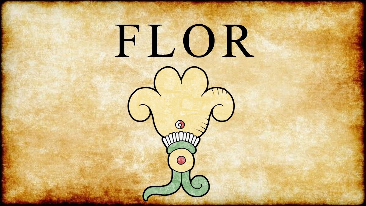 FLOR - FLOWER - XOCHITL