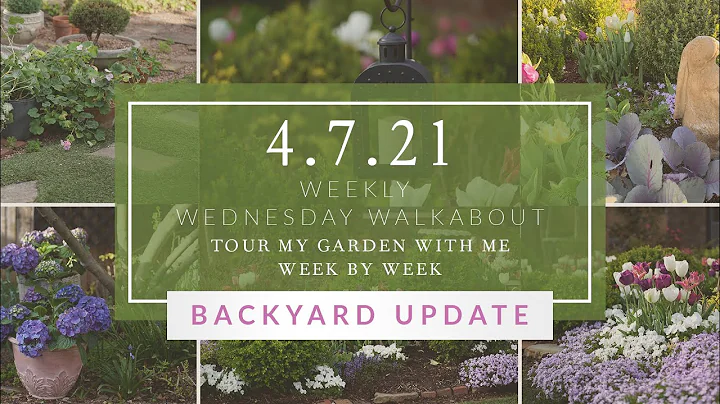 Weekly Wednesday Walkabout: BACKYARD UPDATE