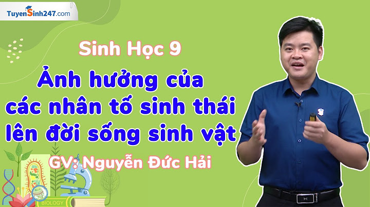 Có những nhóm nhân tố sinh thái nào vai trò năm 2024