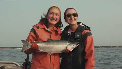 How to find sustainable seafood