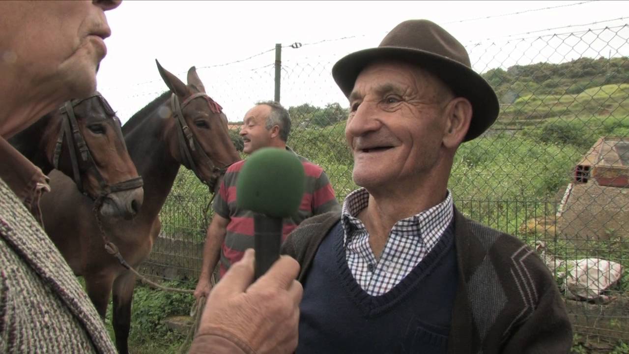 Semos Canarios - Feria de ganado de Los Realejos - T09x07