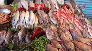 أخبار اليوم | سوق السمك بالمنيب أنواع وأشكال وانخفاض بالأسعار وركود بالبيع