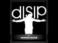 Disip  mission