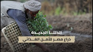 الدلتا الجديدة ذراع مصر للأمن الغذائي
