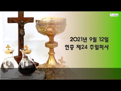 영상썸네일