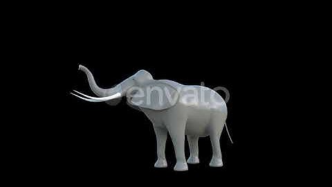 Plastic Toy Elephant Eat 4K | Motion Graphics - Envato elements