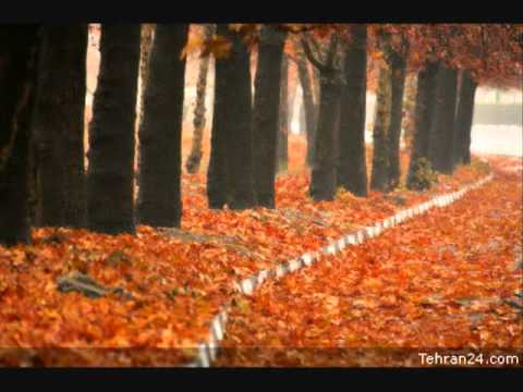 رو در و دیوار این شهر محمد زارعی 