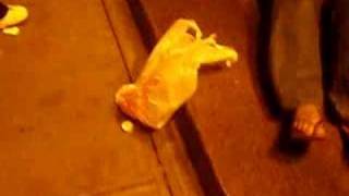 Jbcp Encounter, Jason Blazer Finds Papi Champoo