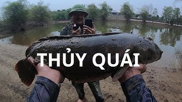 CÂU CÁ LÓC BÔNG KHỦNG TẠI HÀ NỘI Cùng Bác TOÁN NHÀ QUÊ huynhvananfishing
