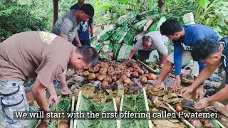 Pohnpei, Breadfruit Video Part 1 of 3